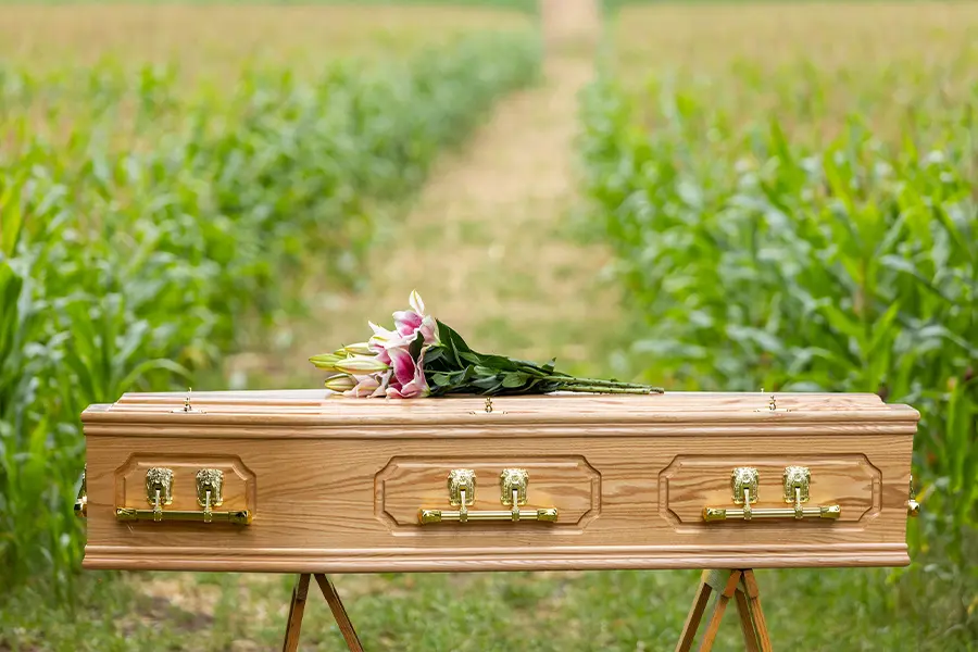 Solid oak coffin, The Chesterfield