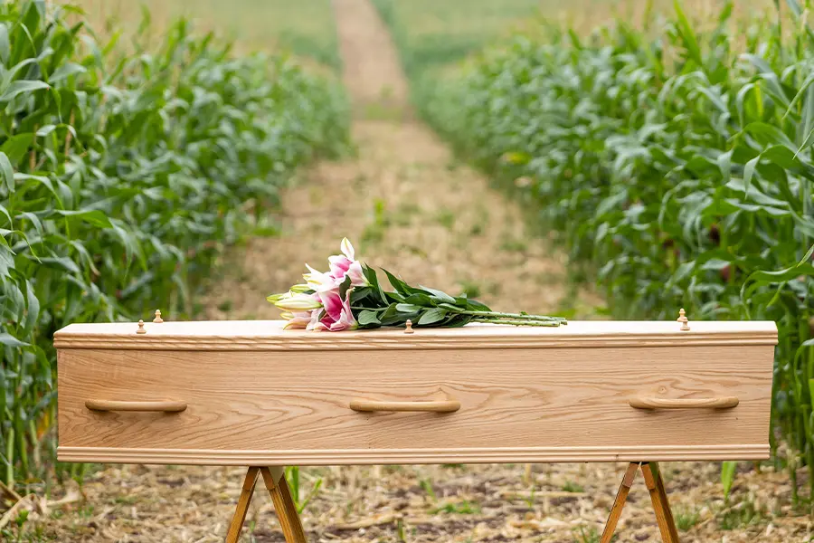 Matt oak coffin with wooden handles, The Bow Oak
